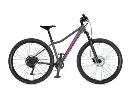 AUTHOR SOLUTION ASL 2026 STRIEBORNÁ 16" (29")