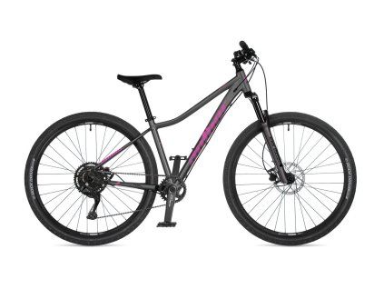AUTHOR SOLUTION ASL 2026 STRIEBORNÁ 18" (29")