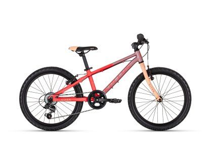 83879 85298 kellystore 26 kiter 30 coral dream 20 tv